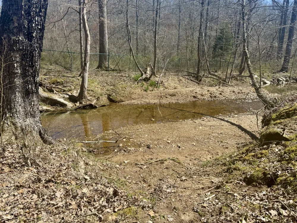 191 Forks River Rd Waverly, TN 37185