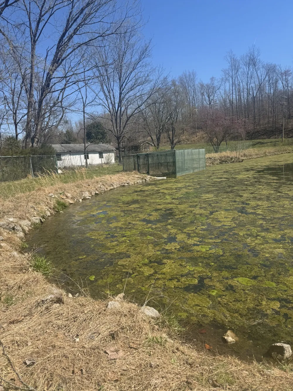191 Forks River Rd Waverly, TN 37185