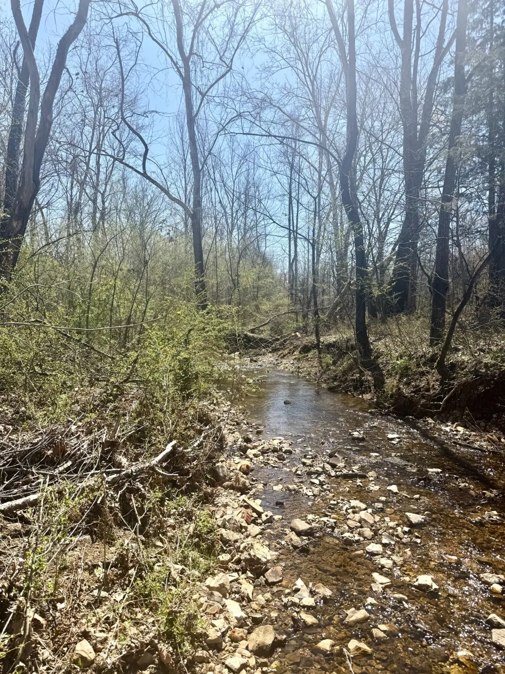 191 Forks River Rd Waverly, TN 37185