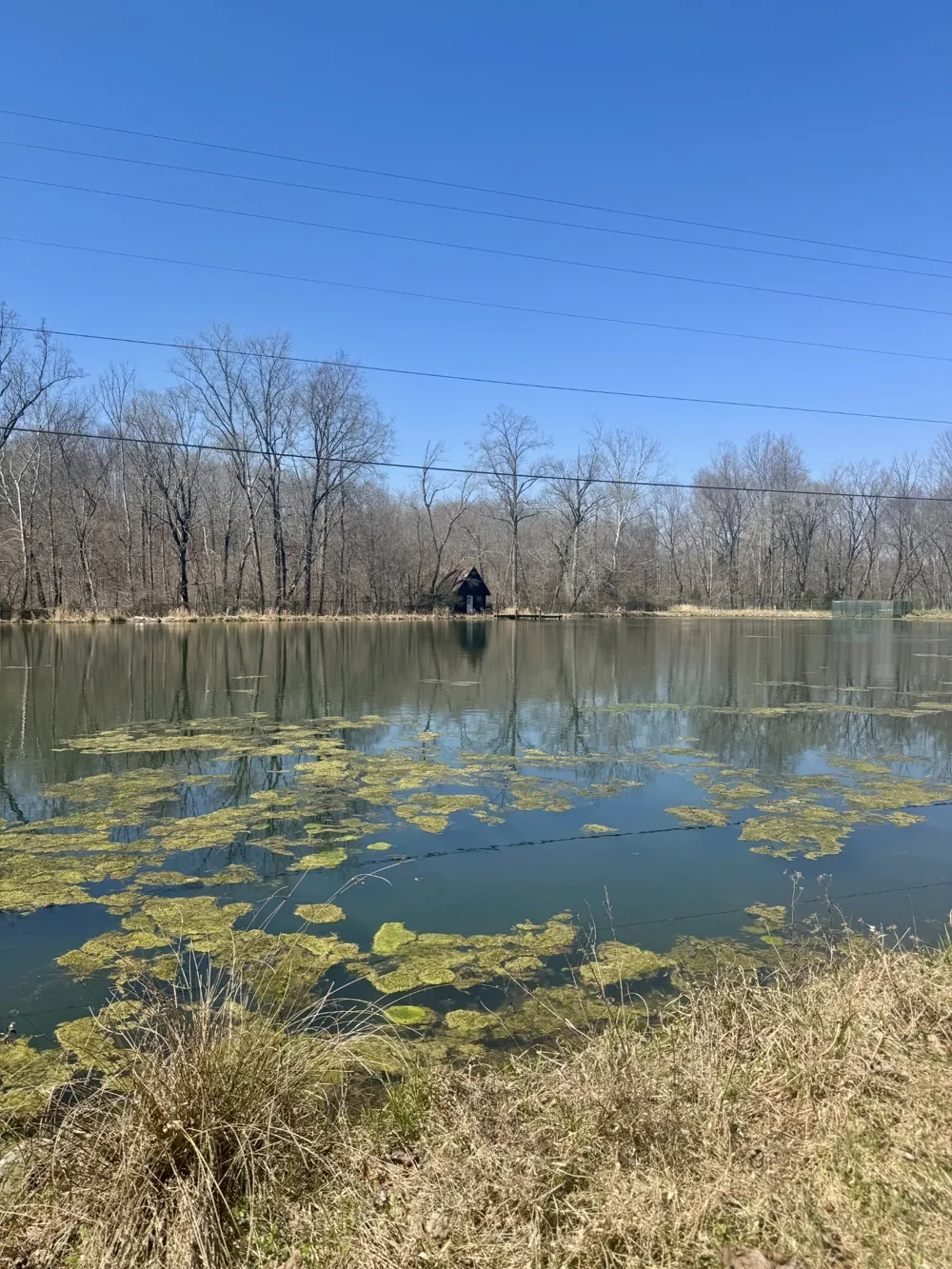 191 Forks River Rd Waverly, TN 37185