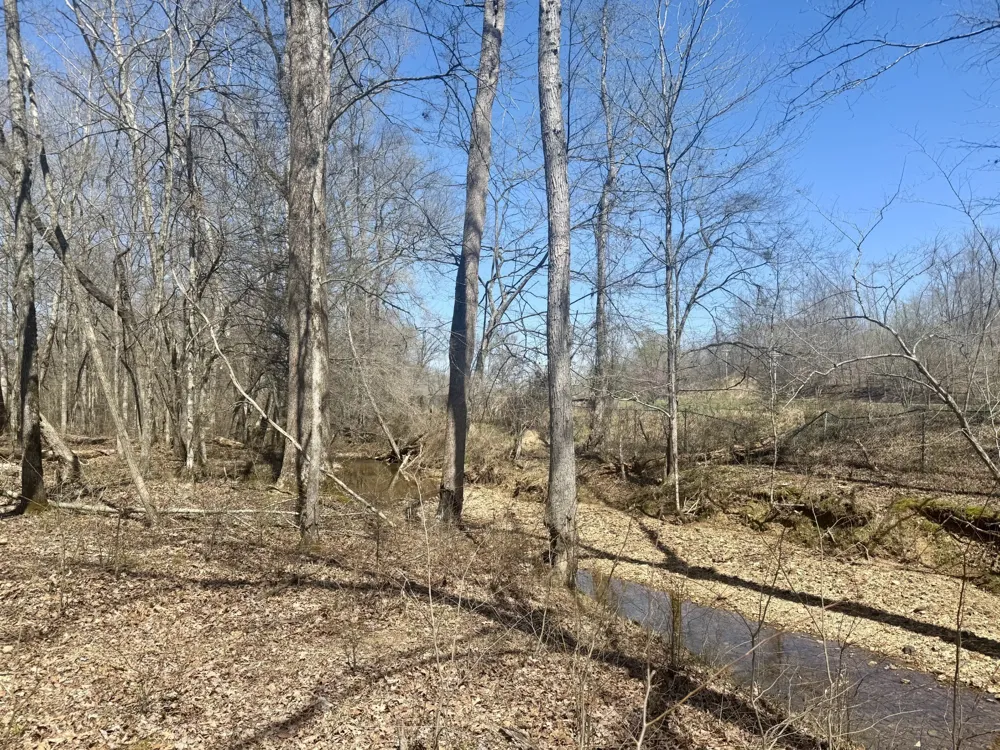 191 Forks River Rd Waverly, TN 37185