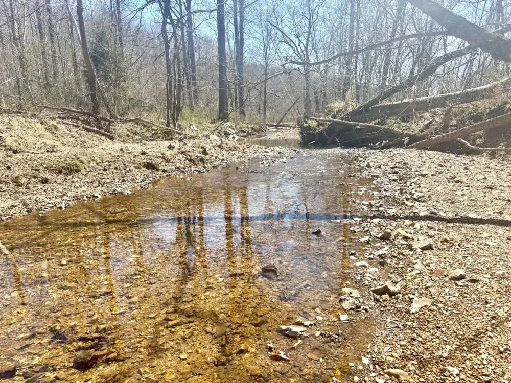 191 Forks River Rd Waverly, TN 37185