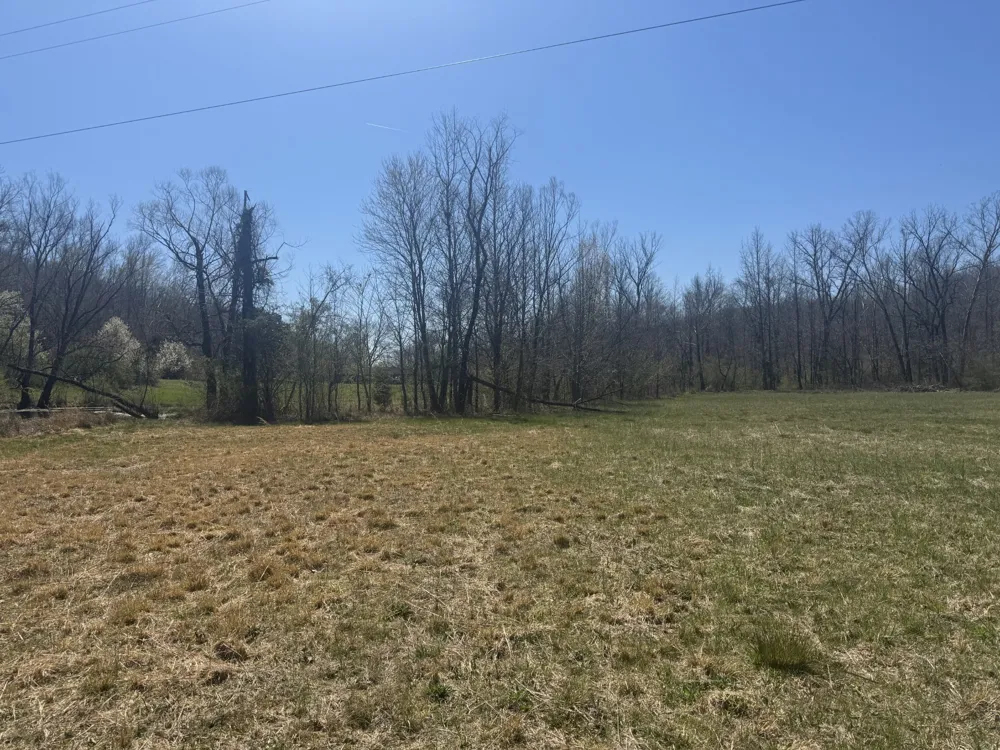 191 Forks River Rd Waverly, TN 37185