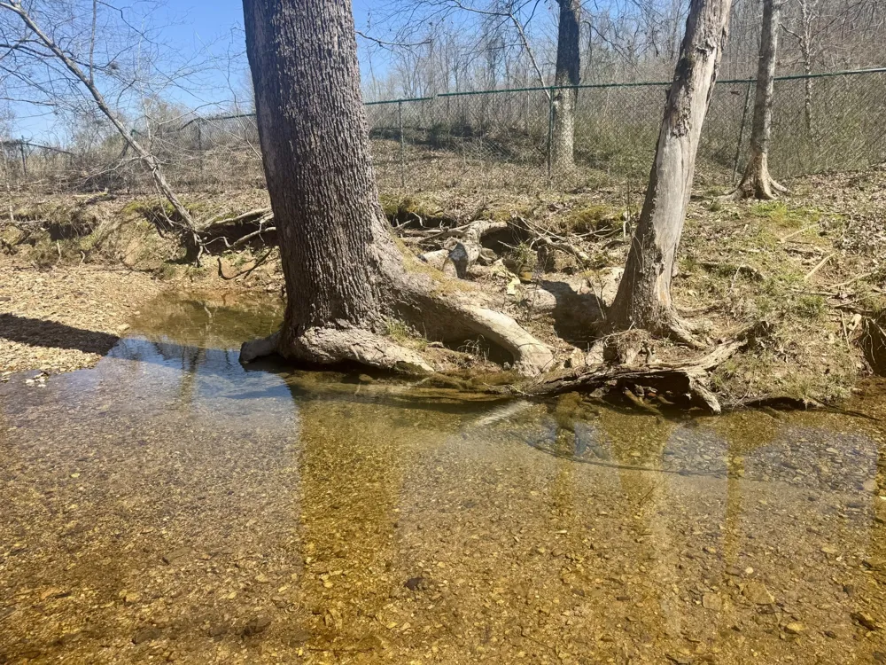 191 Forks River Rd Waverly, TN 37185