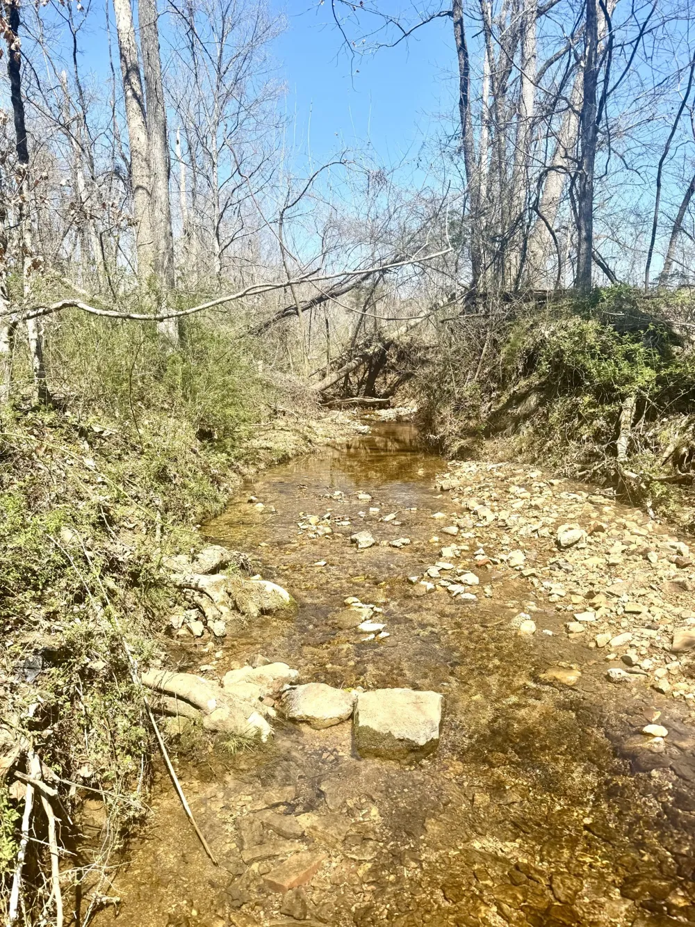 191 Forks River Rd Waverly, TN 37185