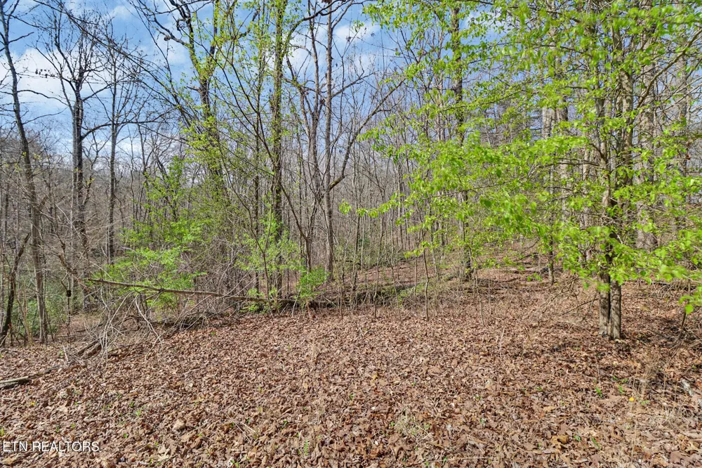 0 Thompson Rd Crossville, TN 38571