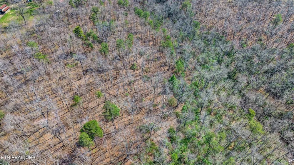 0 Thompson Rd Crossville, TN 38571