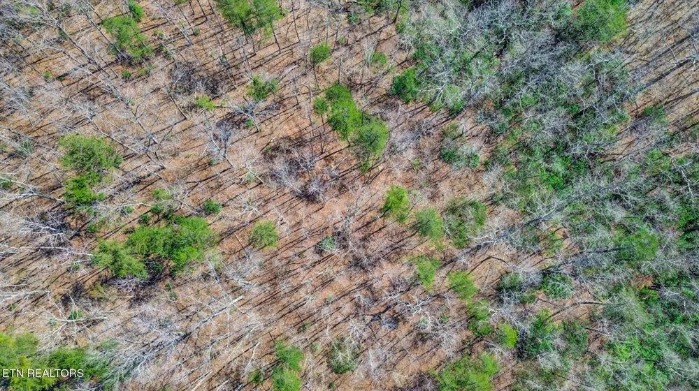 0 Thompson Rd Crossville, TN 38571