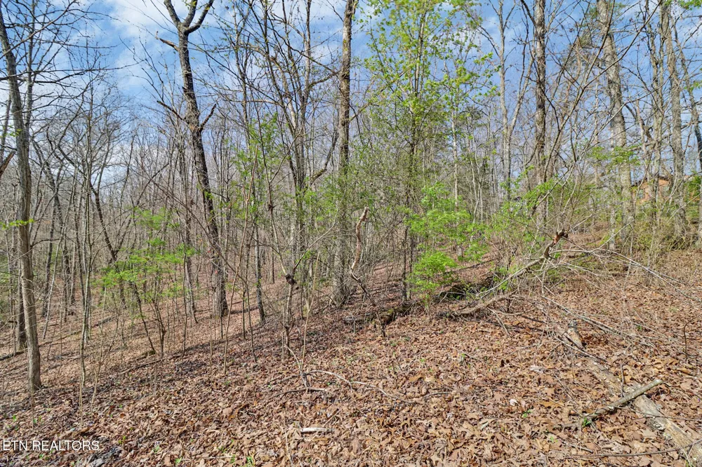 0 Thompson Rd Crossville, TN 38571