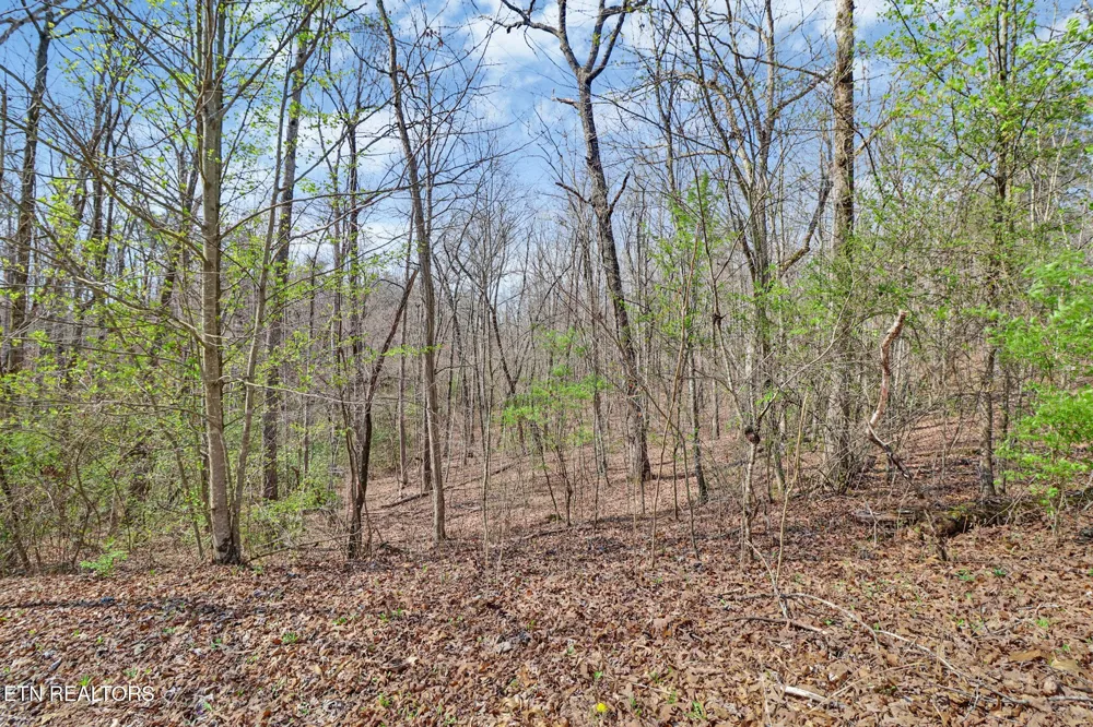 0 Thompson Rd Crossville, TN 38571