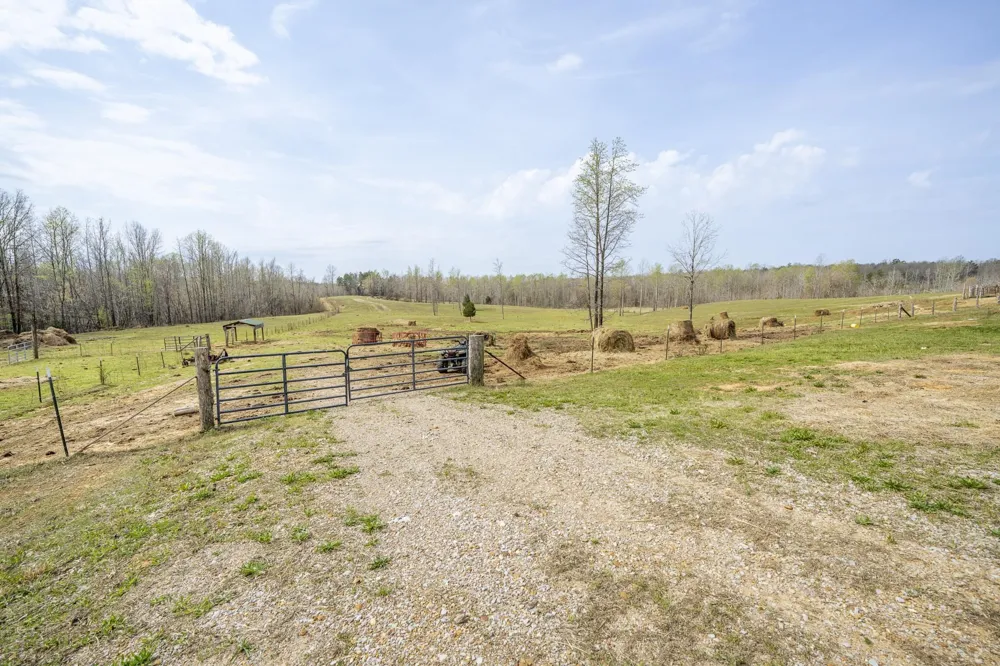 1896 PURDY BEAUTY HILL RD Bethel Springs, TN 38315