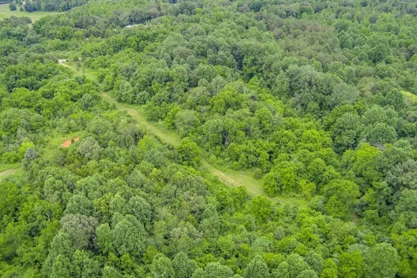 0 Center point acres Walling, TN 38587