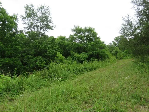 0 Center point acres Walling, TN 38587
