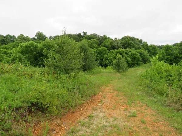0 Center point acres Walling, TN 38587