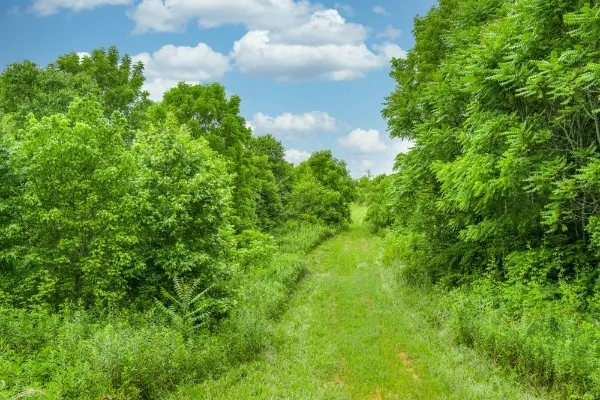 0 Center point acres Walling, TN 38587