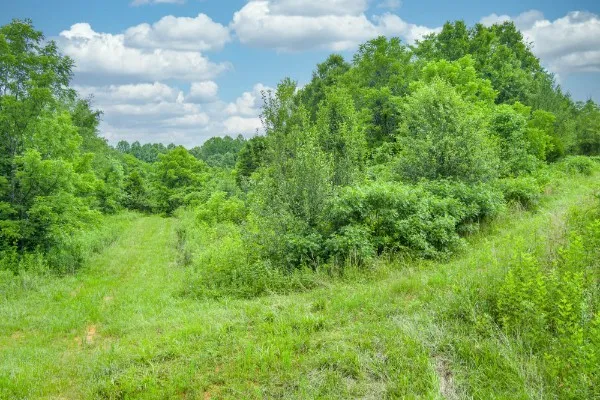 0 Center point acres Walling, TN 38587