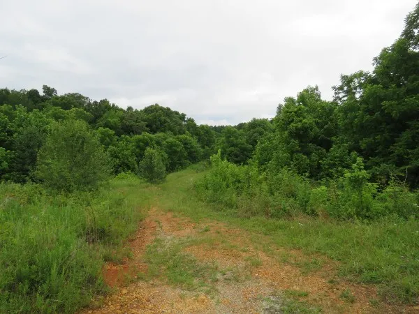 0 Center point acres Walling, TN 38587