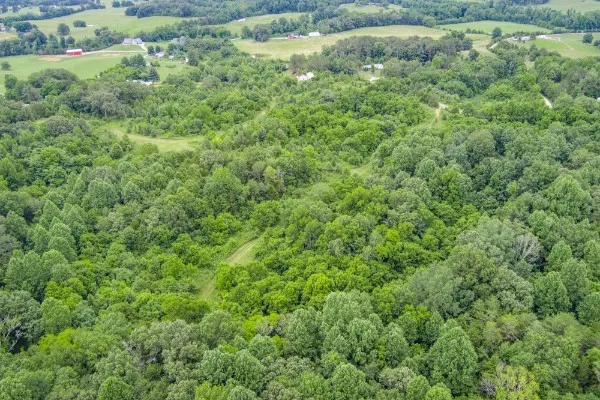0 Center point acres Walling, TN 38587