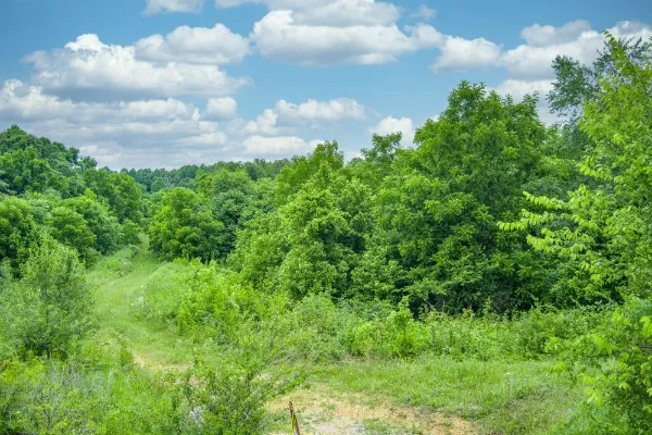 0 Center point acres Walling, TN 38587
