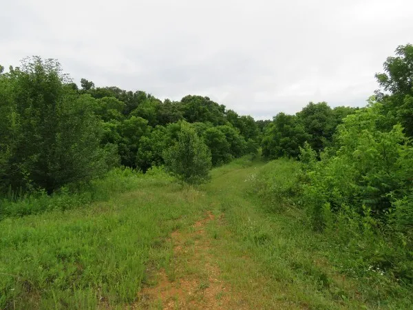 0 Center point acres Walling, TN 38587