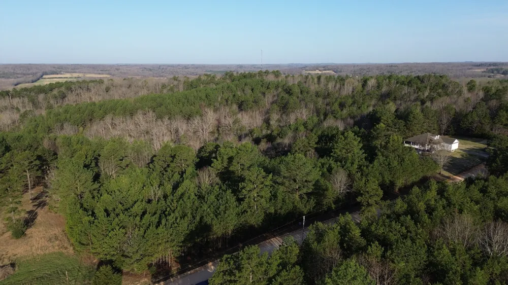 0 Bridge View Cv Bath Springs, TN 38311