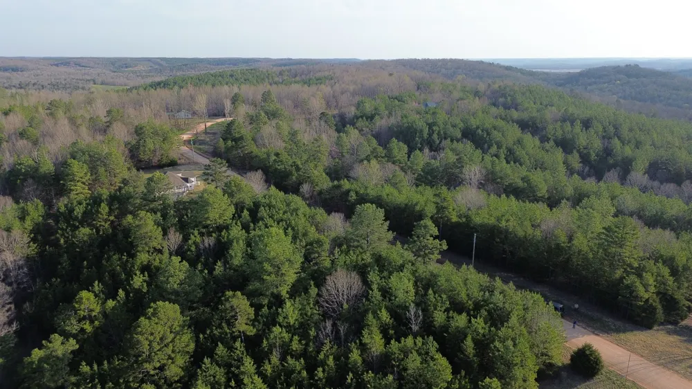 0 Bridge View Cv Bath Springs, TN 38311