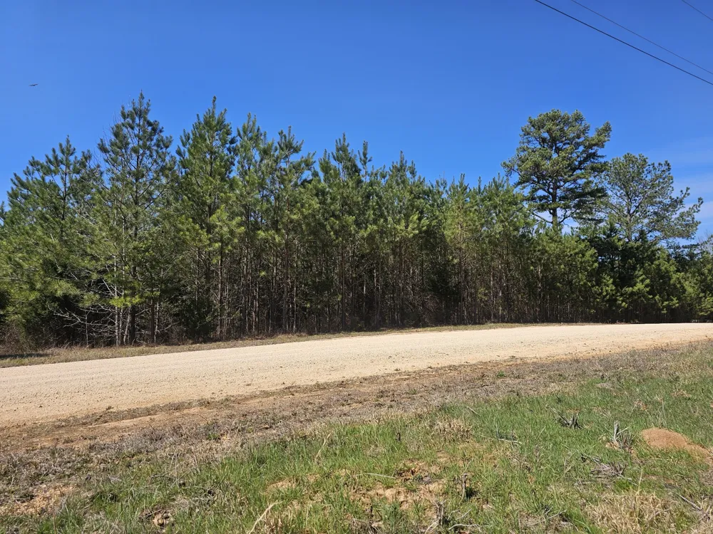 0 Bridge View Cv Bath Springs, TN 38311