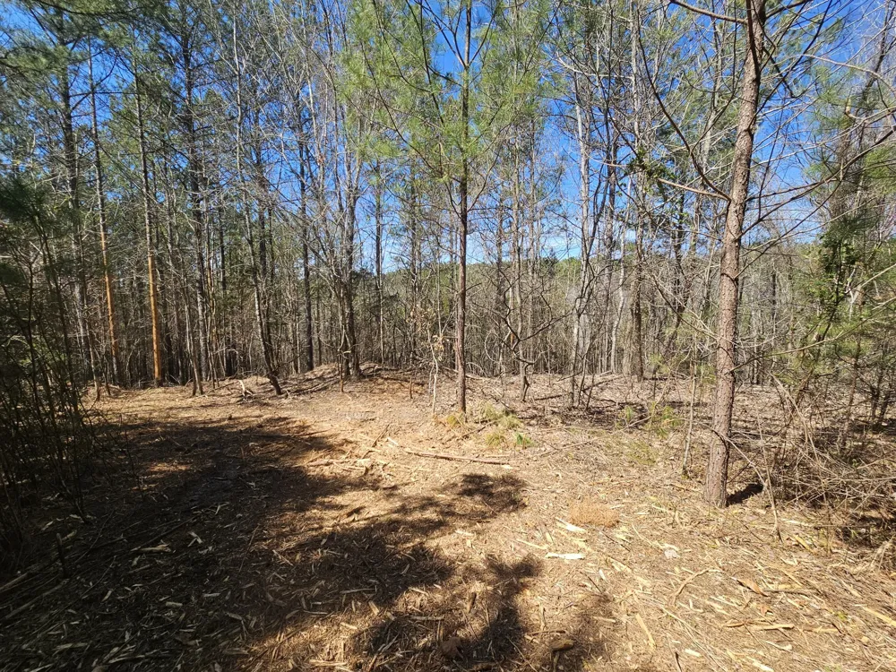0 Bridge View Cv Bath Springs, TN 38311