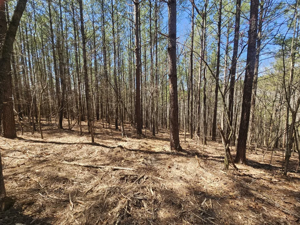 0 Bridge View Cv Bath Springs, TN 38311