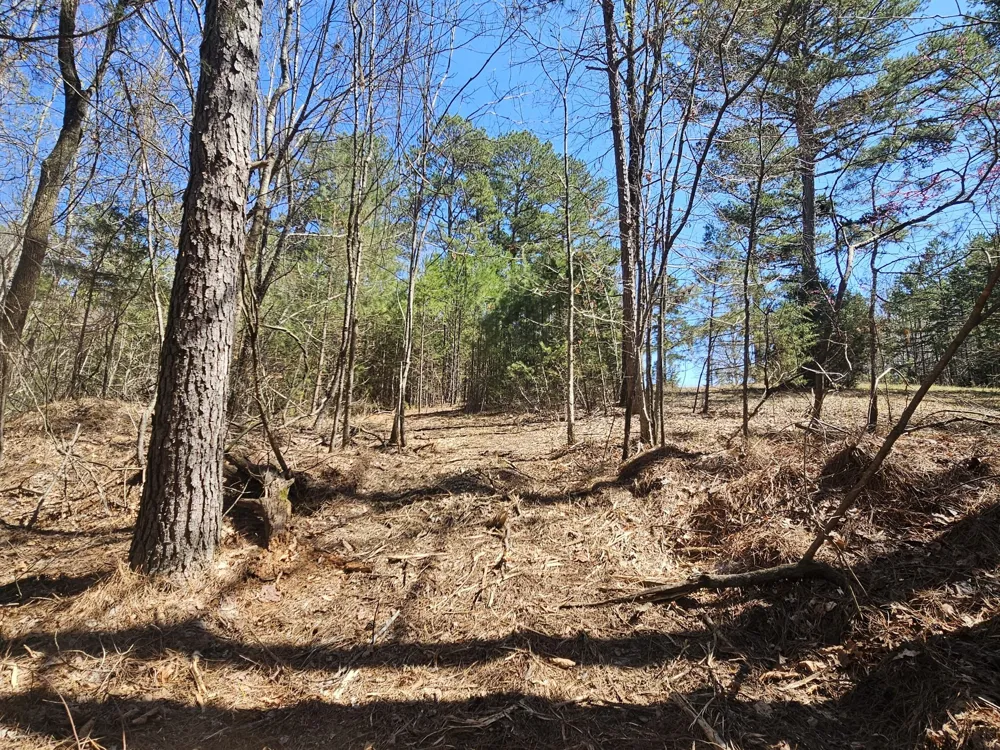 0 Bridge View Cv Bath Springs, TN 38311