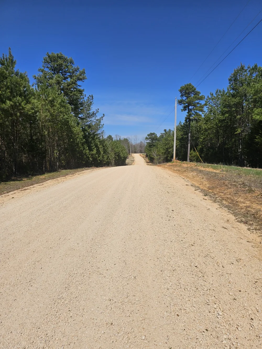 0 Bridge View Cv Bath Springs, TN 38311