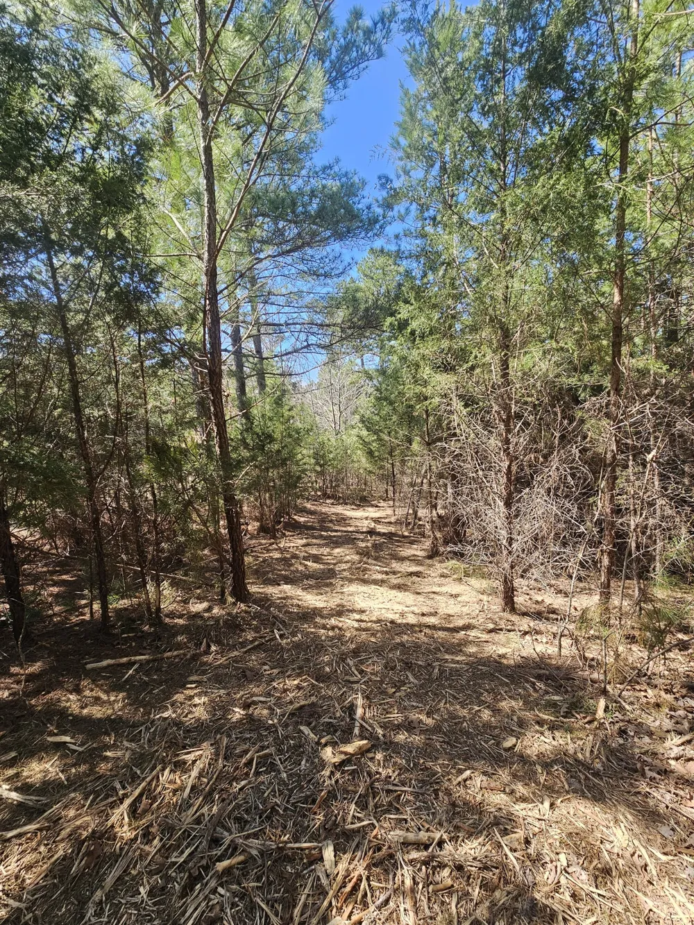 0 Bridge View Cv Bath Springs, TN 38311