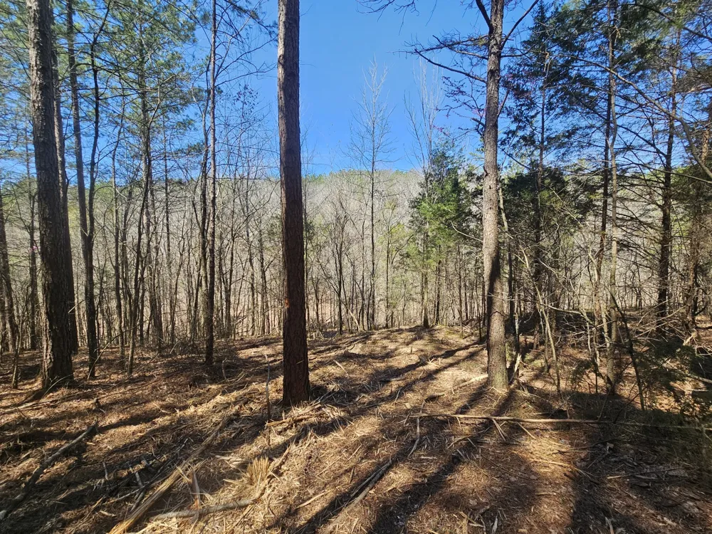 0 Bridge View Cv Bath Springs, TN 38311