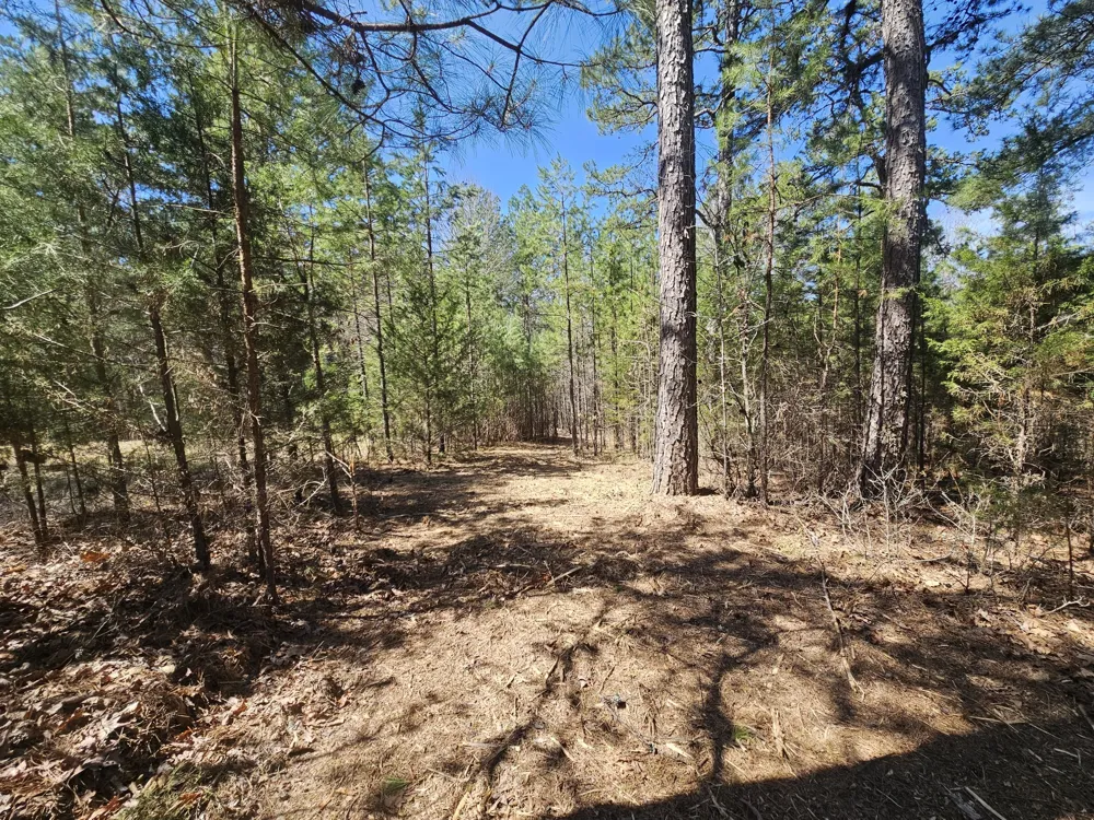 0 Bridge View Cv Bath Springs, TN 38311