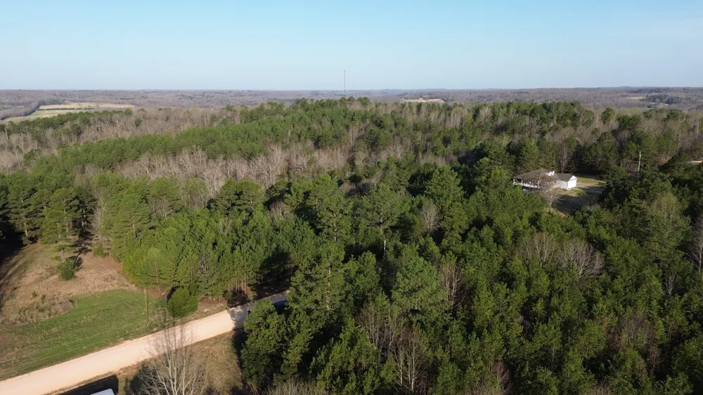 0 Bridge View Cv Bath Springs, TN 38311