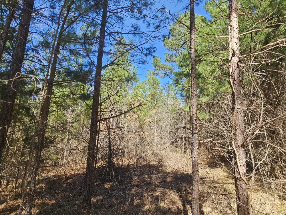 0 Bridge View Cv Bath Springs, TN 38311