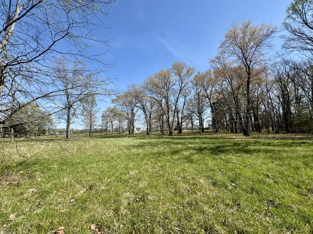 0 Black Barn Lane Rockvale, TN 37153