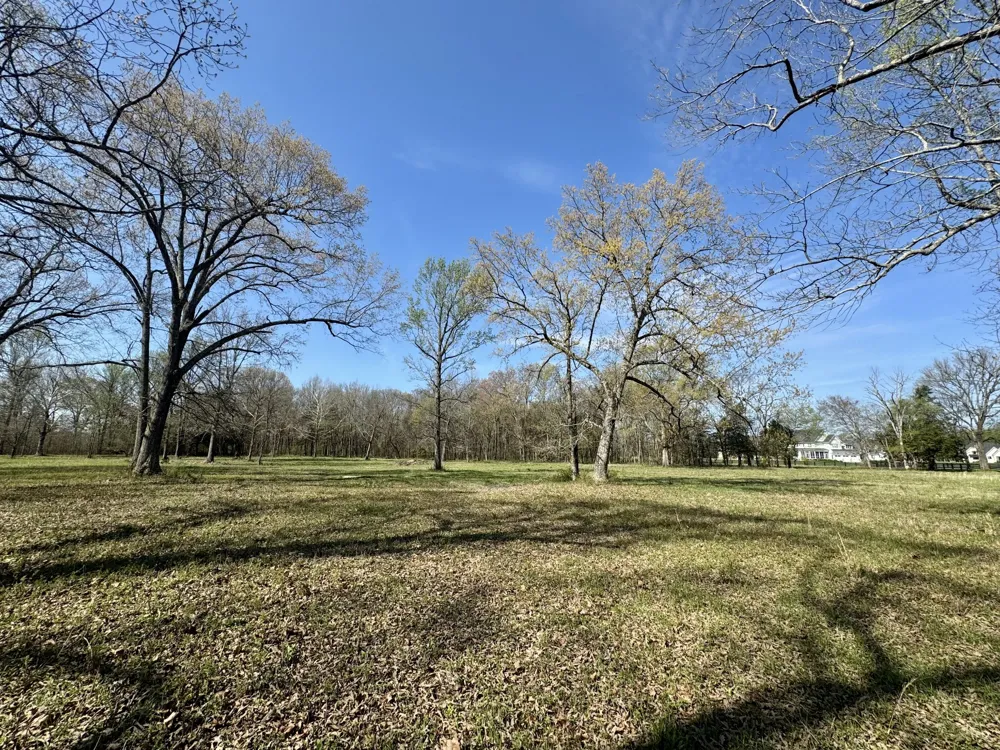 0 Black Barn Lane Rockvale, TN 37153