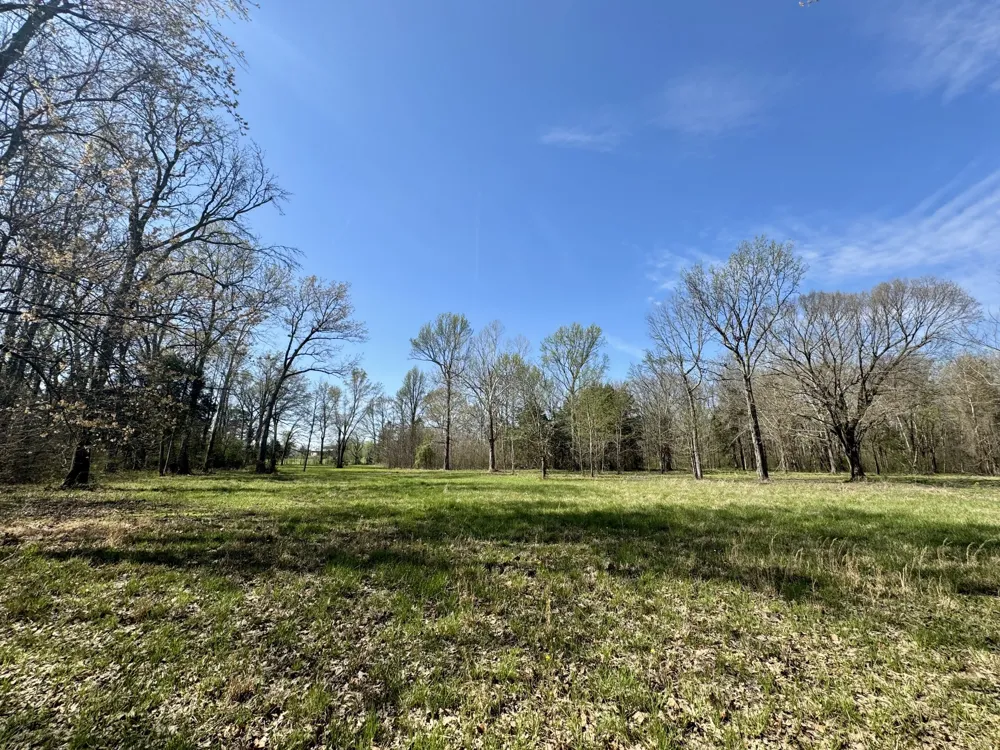 0 Black Barn Lane Rockvale, TN 37153