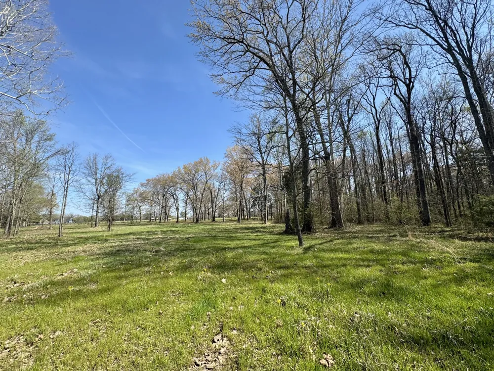 0 Black Barn Lane Rockvale, TN 37153
