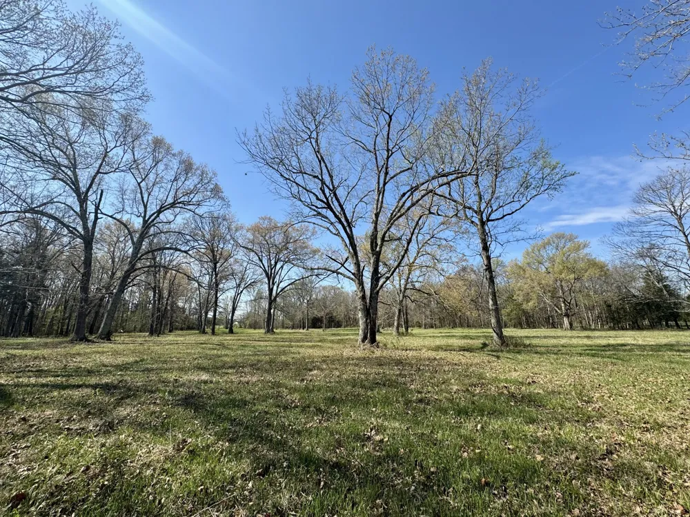 0 Black Barn Lane Rockvale, TN 37153