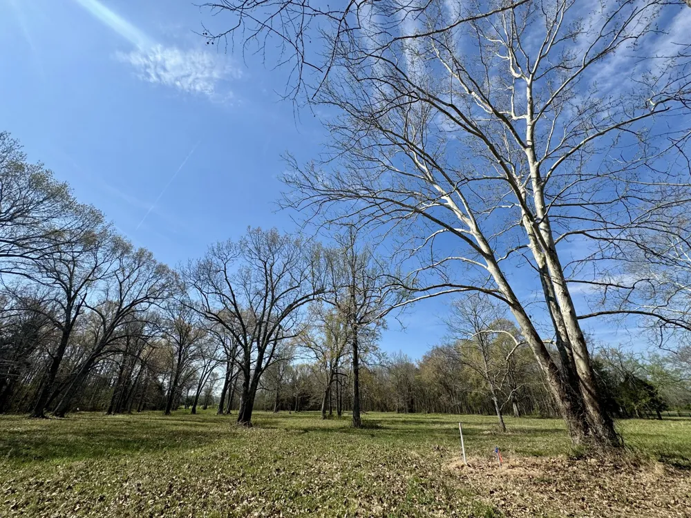 0 Black Barn Lane Rockvale, TN 37153