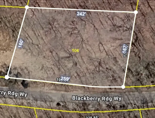 0 Blackberry Ridge Way Smithville, TN 37166