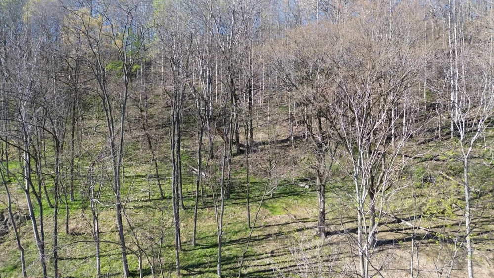 0 Blackberry Ridge Way Smithville, TN 37166