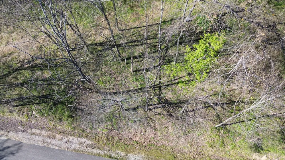 0 Blackberry Ridge Way Smithville, TN 37166
