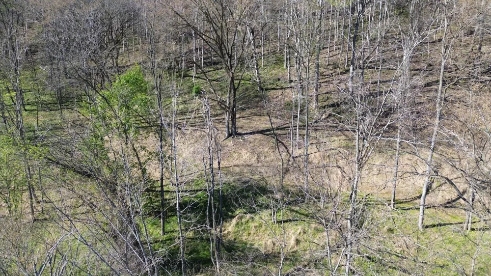 0 Blackberry Ridge Way Smithville, TN 37166
