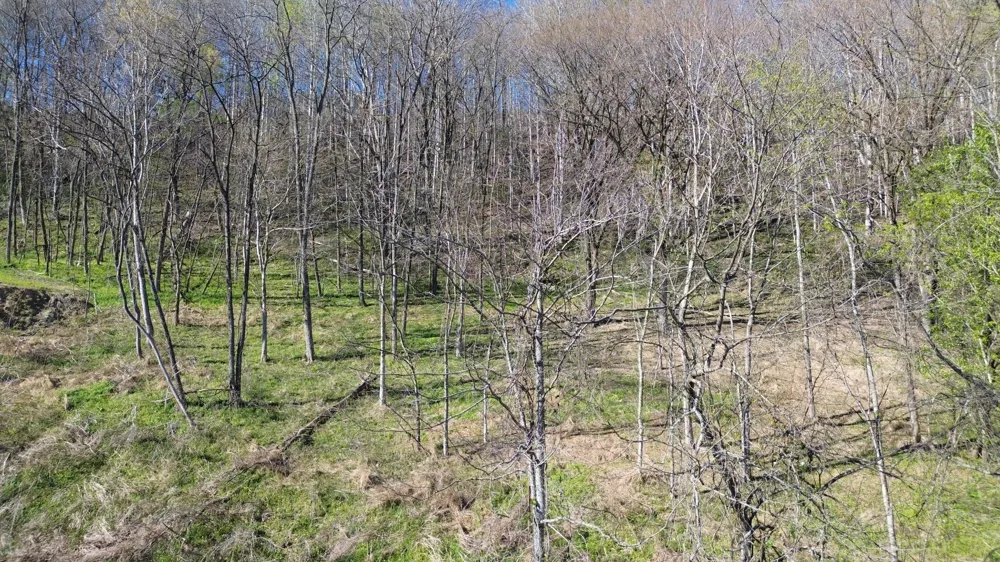 0 Blackberry Ridge Way Smithville, TN 37166