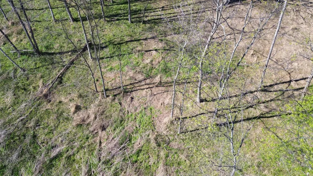 0 Blackberry Ridge Way Smithville, TN 37166