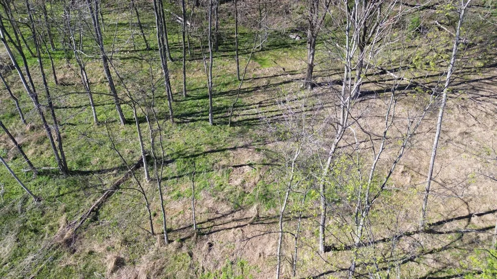 0 Blackberry Ridge Way Smithville, TN 37166