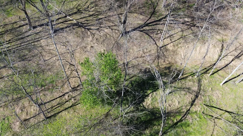 0 Blackberry Ridge Way Smithville, TN 37166